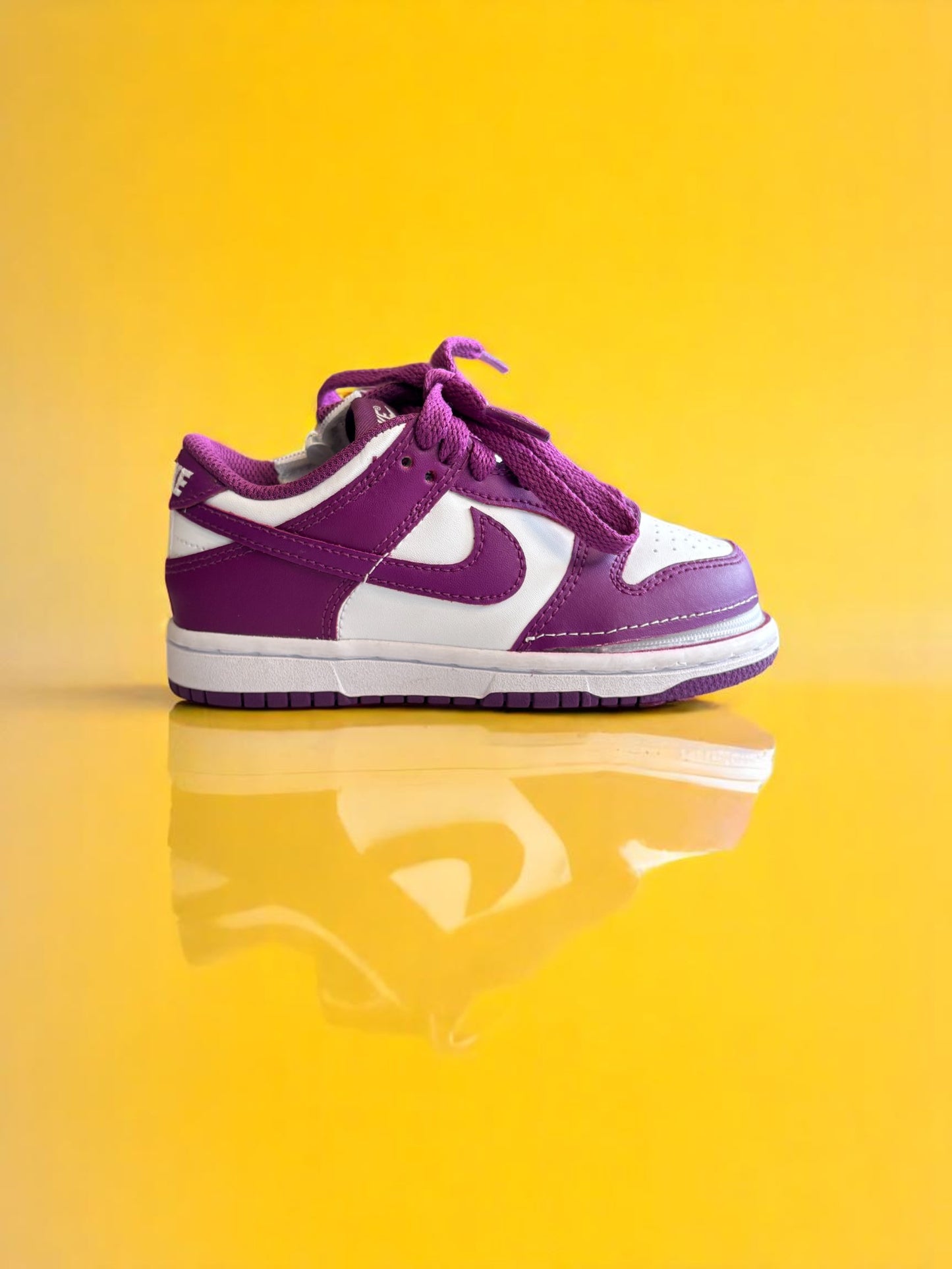 兒童拉鍊 Nike Dunk Low