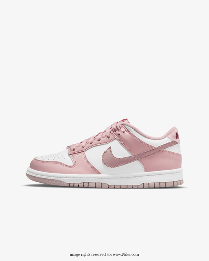 Big Kids' Zipped Nike Dunk Low