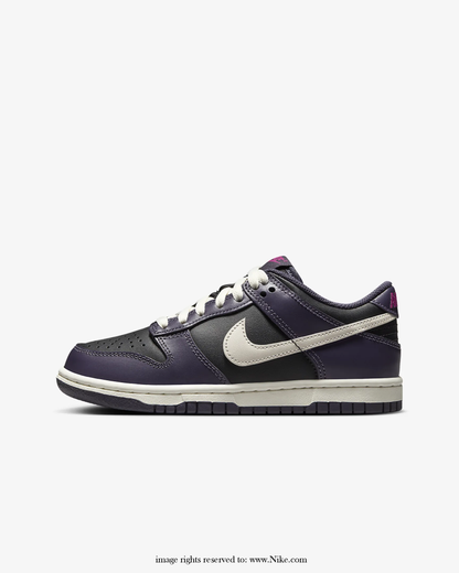 Big Kids' Zipped Nike Dunk Low