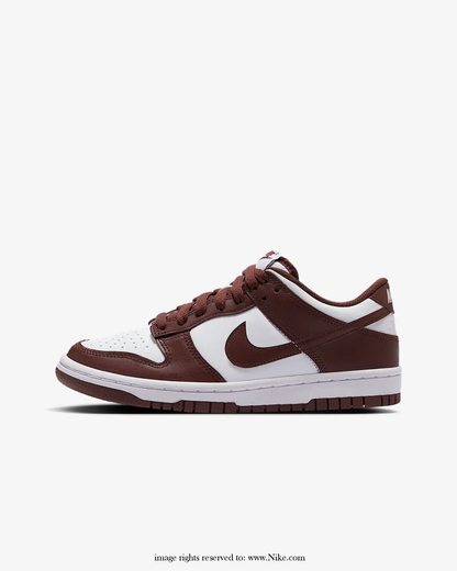 Big Kids' Zipped Nike Dunk Low