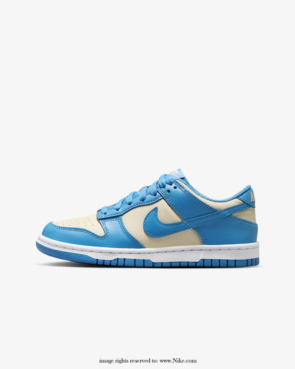 Big Kids' Zipped Nike Dunk Low