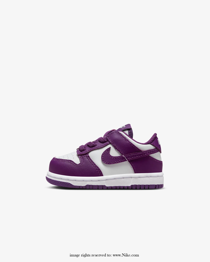 Toddler Zipped Nike Dunk Low