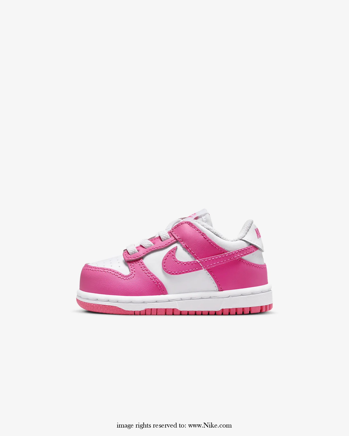 Toddler Zipped Nike Dunk Low