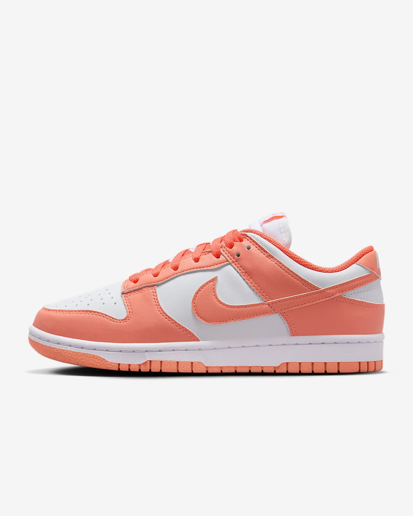 Zipped Nike Dunk Low Next Nature